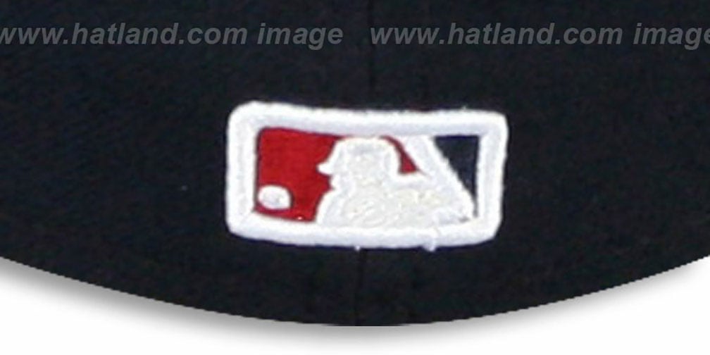 Nationals 2012 'PLAYOFF ALTERNATE' Hat by New Era
